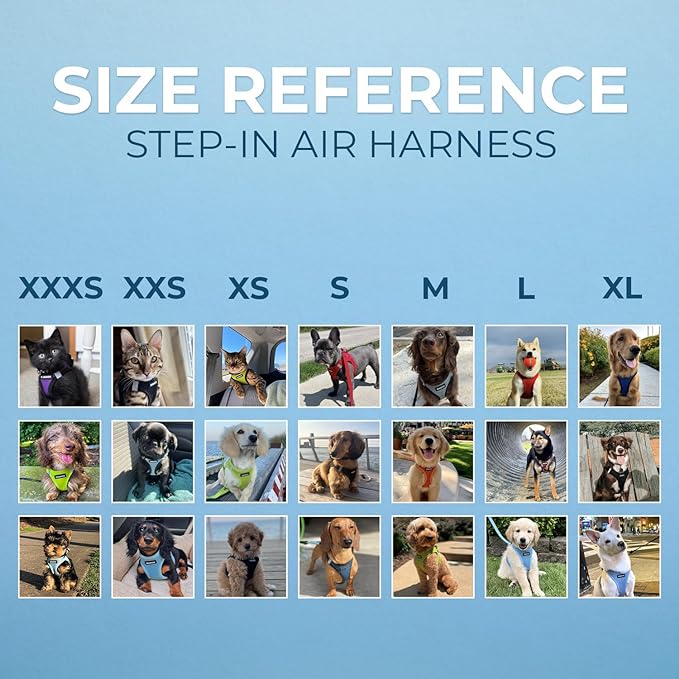 Best Pet Supplies Voyager Step-in Air Harness - All Weather Mesh, Reflective, No Pull Harness for Dogs, Cats - Secure with Hook & Loop Fastener, Buckle, Double D-Rings - Turqupise 2-Tone, XL