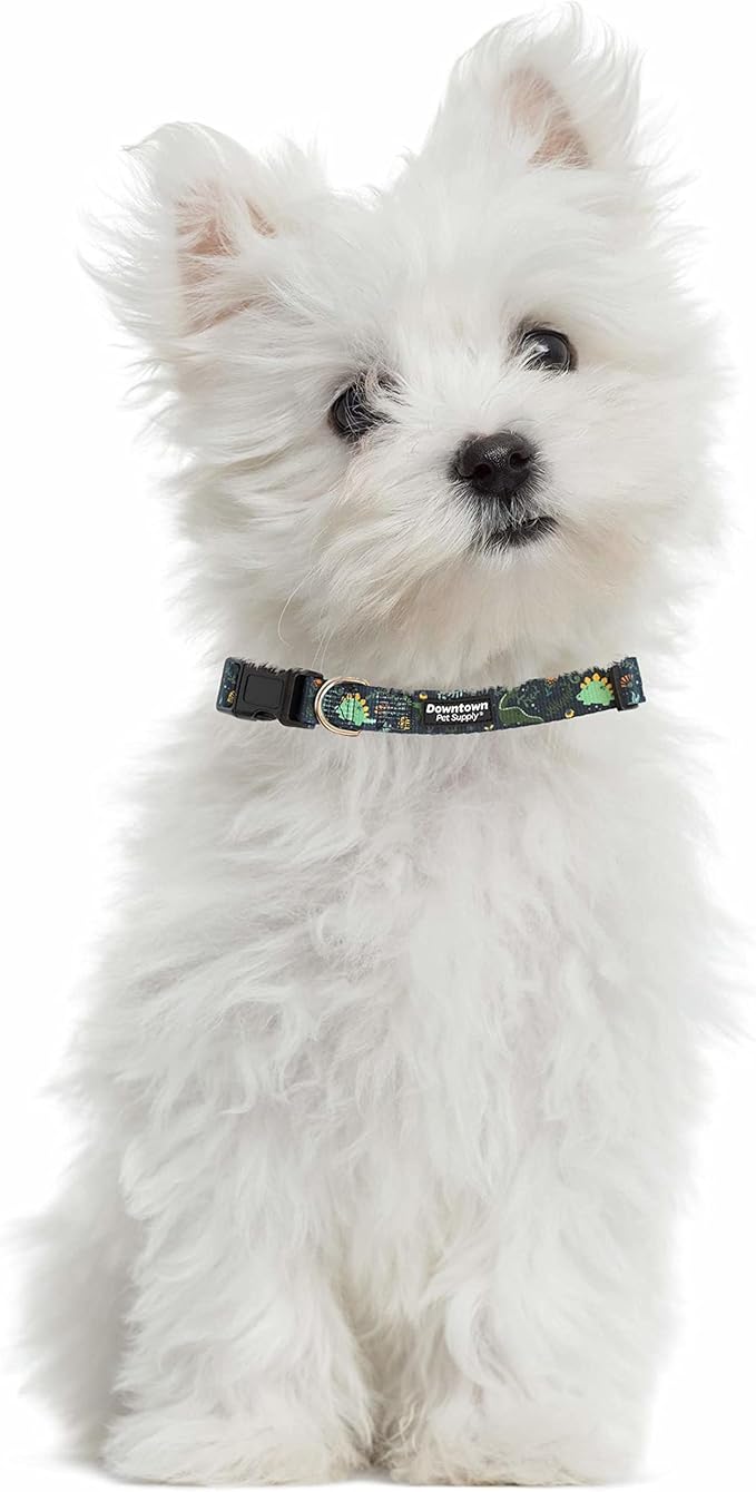 Downtown Pet Supply - Best & Fancy Adjustable Dog Collar with Quick Buckle & D-Ring - Hand Wash Safe - Dino - M - Medium