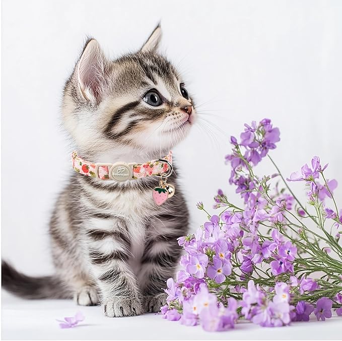 2 Pack Spring Summer Cat Collars - Cute Breakaway Cat Collar with Bell, Bluberry and Strawberry Pendant, Adjustable Kitten Collars for Girl Cats, Pastel Floral Fruit