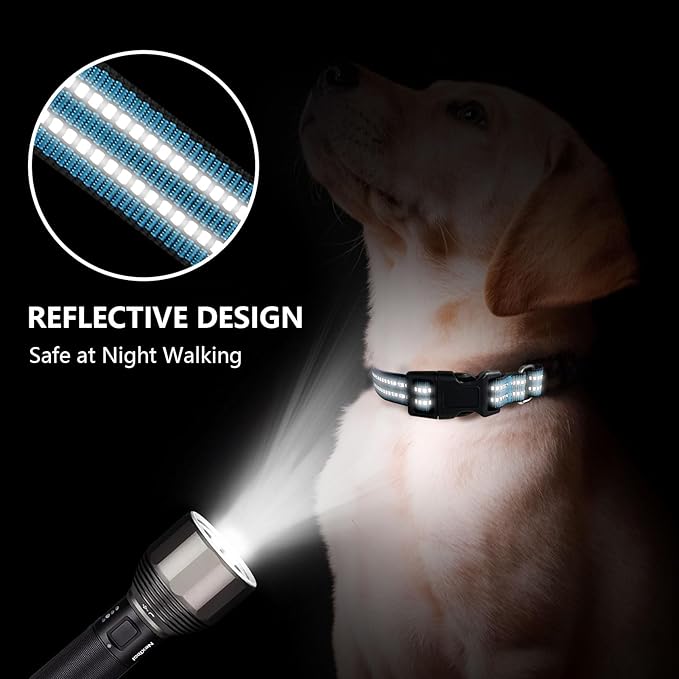 Martingale Dog Collar, Adjustable Nylon Reflective Collar with Quick Release Buckle (Gentian Blue, Small)