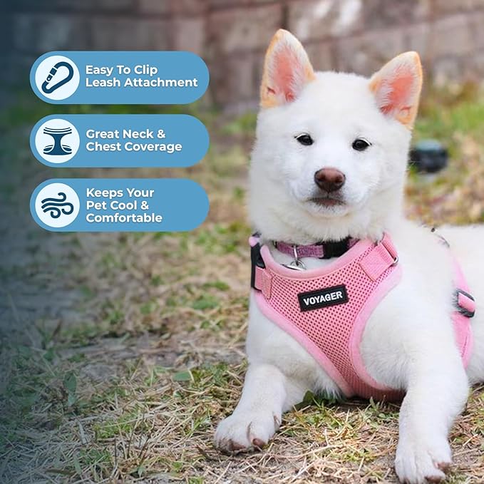 Voyager Step-in Pet Harness - All Weather Mesh, Adjustable Step in Harness for Cats and Dogs by Best Pet Supplies - Pink, XS