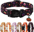 Halloween Dog Collar Spooky Fun Pumpkin Puppy Collar - Light Comfortable Adjustable Pet Collars for Small Medium Large Girl Boy Dogs L