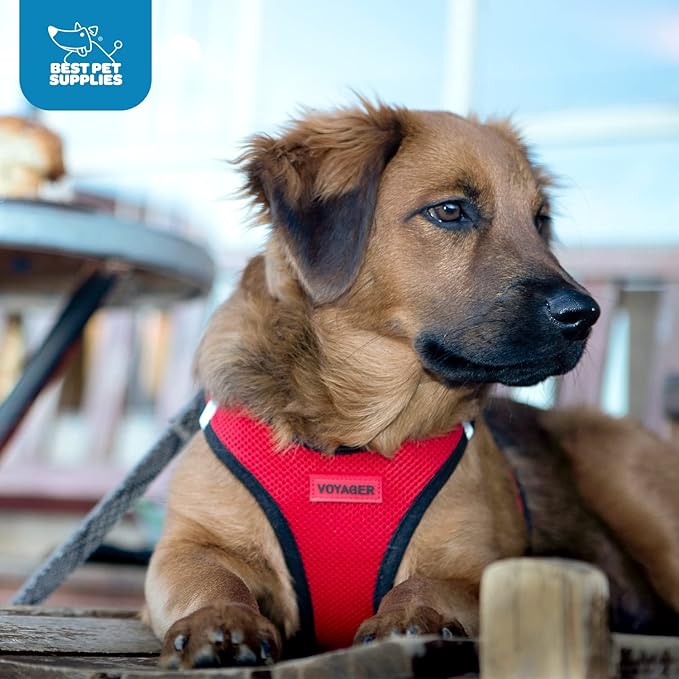 Best Pet Supplies - All Weather Mesh / Plush, Reflective, No Pull Harness for Small, Medium Dogs, Cats - Secure with Hook & Loop Fastener, Buckle, Double D-Rings - Red/Black Trim, XS
