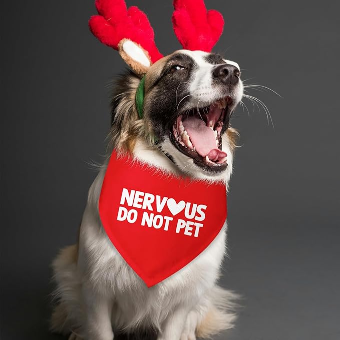 Nervous Do Not Pet Dog Bandana Service Bandana Service Dog in Training Funny Pet Accessories Shy Dogs Gift Nervous Anxious Scarf for Small Medium Dogs & Cats