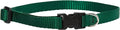 LupinePet Basics 1/2" Green 10-16" Adjustable Collar for Small Dogs