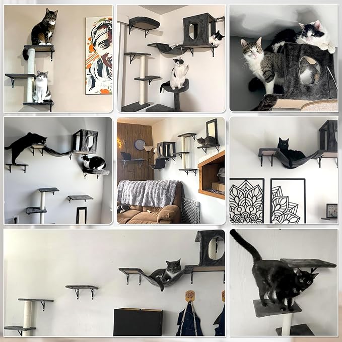 NUNU LAB Wall Mounted Cat Furniture Set - 6 Pcs Climber Set with House, Bridge, Steps, Scratcher Board - DIY Walls Playground, Indoor Cat Shelves - Black