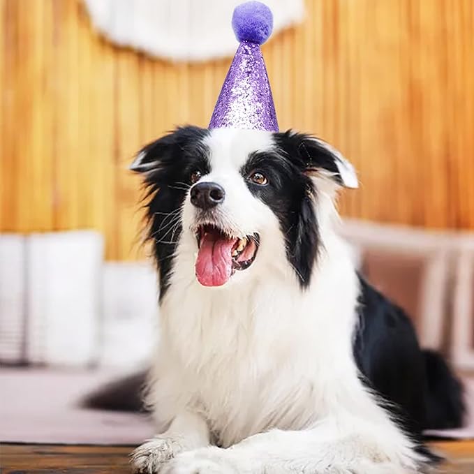 PET SHOW 5 Pack Small Dog Birthday Hats Party Hats for Medium Dogs Cats Adjustable Holiday Hats Headband Hats Pet Grooming Costume Accessories