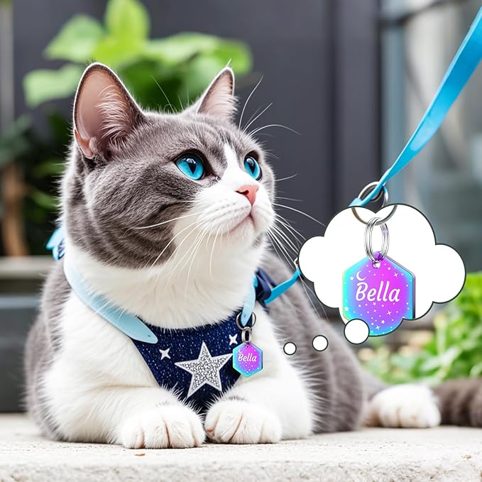 YEHANTI Dog Tags Personalized for Pets with Name Pattern Art Design - Engraved with Laser - Stainless Steel Cats Dogs ID Tags - Stylish Dog Collar Accessories (Hexagon Shape)