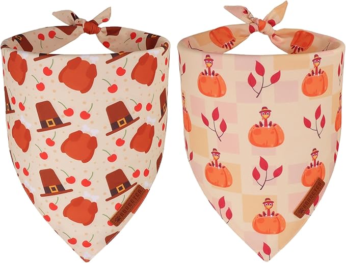ADOGGYGO Thanksgiving Dog Bandanas 2 Pack, Reversible Turkey Pumpkin Pet Scarf Bib, Adjustable Fit Orange Thanksgiving Bandana for Medium Large Dogs (Large)
