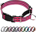 Martingale Dog Collar, Adjustable Nylon Reflective Collar with Quick Release Buckle (Hot Pink, Large)