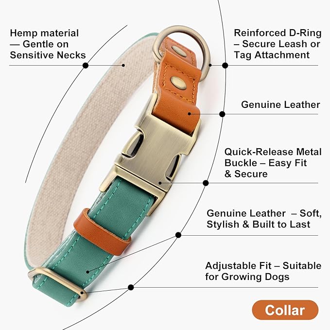 Plutus Pet Genuine Leather & Hemp Dog Collar – Adjustable Heavy Duty Pet Collar with Quick Release Metal Buckle, Soft & Stylish for Puppy and Small, Medium, Large Dogs (Green, L)