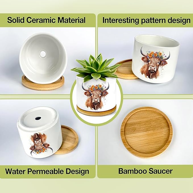 Highland Cow Succulent Pots 3 Pack, 3 Inch Succulent Planters with Drainage and Bamboo Tray, Highland Cow Gifts for Women, Ceramic Small Pots for Baby Plants, Cactus, Herbs- Plants Not Included
