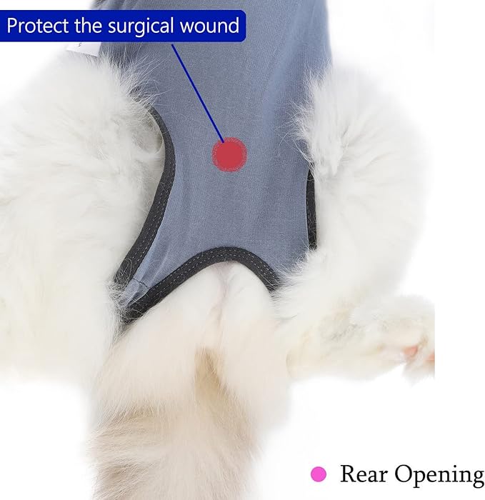 Cat Surgery Recovery Suit Cat Onesie for Cats After Surgery Spay Surgical Abdominal Wound Skin Diseases E-Collar Alternative Wear (Grey-Blue-L)