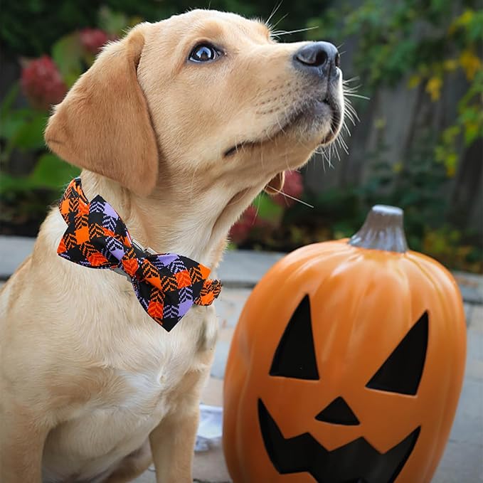Halloween Dog Collar, Pet Collar Bow Plaid Collars Girl Boy Holiday Pet Collars Gift Bow Dog Collar Cute Soft Puppy Collar for Large Dogs