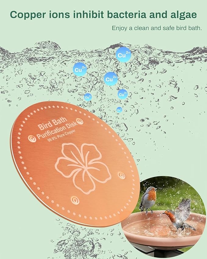 Bird Bath Purification Disk Pure Copper Outside Winter Solar Power Birdbath Hummingbird Bee Water Fountain Window Feeder Stand Nectar Food Pole House Hanging Birdhouse Small Large Accessories