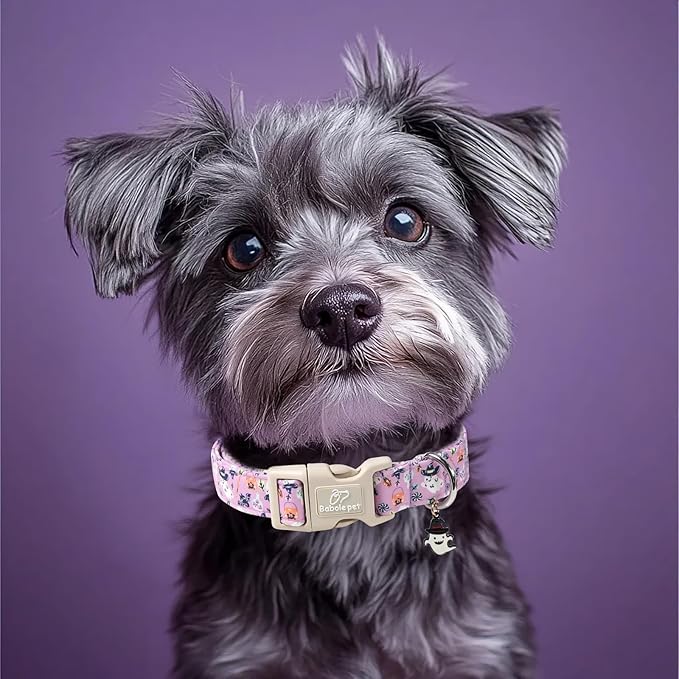 Halloween Dog Collar Cute Wizard Ghost Puppy Collar - Light Comfortable Adjustable Pet Collars for Small Medium Large Girl Boy Dogs XL