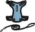 Voyager Escape-Proof Step-in Lock Cat Harness & 5ft Neoprene-Handle Leash Set All-Weather Mesh with Reflective Stitching for Small to Large Cats by Best Pet Supplies, Baby Blue/Black Trim, S