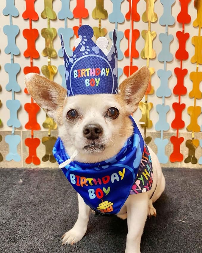 Dog Birthday Party Decorations - Bday Bandana Set - Birthday Boy Bandana for Small Dogs, Puppy, Party Hat, Crown and Cute Dog Birthday Banner with It's My Birthday Mother Puppers Sign