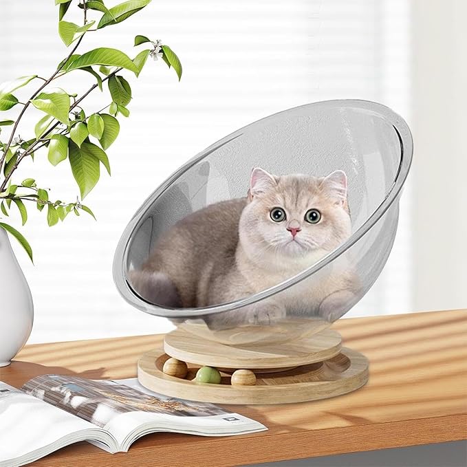 Cat Perch- Cute Freestanding Cat Space Perch Bed, Stylish Stable Activity Center Space Cat Bed | Easy Cleaning Transparent Cat House Set, Perfect Cat Furniture Pet Supplies for Kittens Sleeping