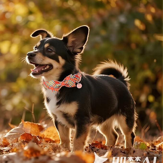 Autumn Plaid Dog Collar and Bow Tie Set – Orange Yellow Checkered Adjustable Fall Collar with Maple Leaf Charm for Small Medium Large Dogs, Soft Cotton Pet Collars with Buckle and D-Ring