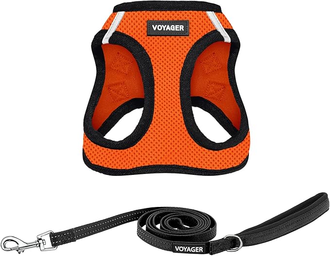 Best Pet Supplies Voyager Step-in Air All Weather Mesh Harness and Reflective Dog 5 ft Leash Combo with Neoprene Handle, for Small, Medium and Large Breed Puppies - Orange/Black Trim, Medium