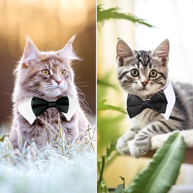 Segarty Bow Tie Cat Collar for Neck Girth 8.8-10.5 in, Tux Puppies Dog Bowtie with Handcrafted Adjustable White Collar Formal Pet Cats Necktie for Cats Small Dog Wedding Party