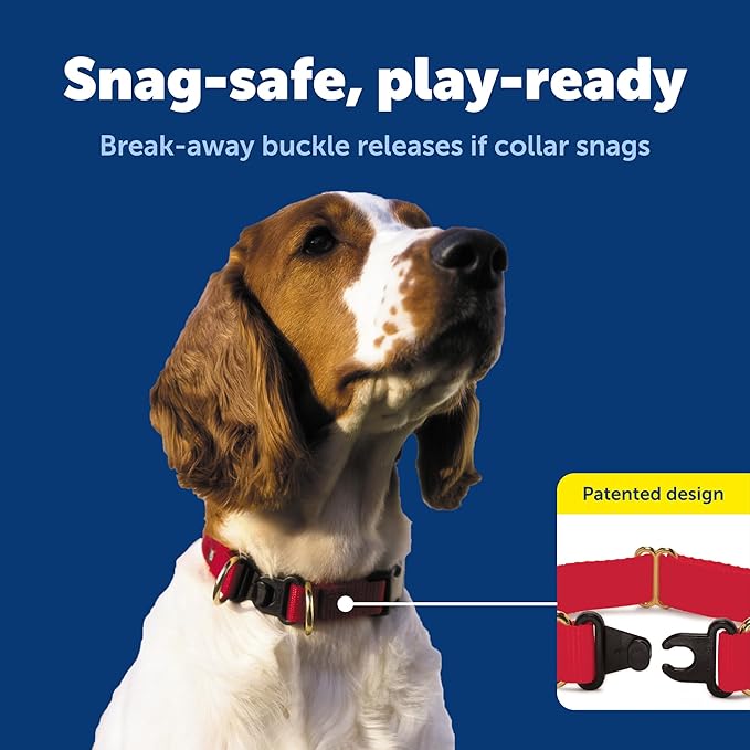 PetSafe KeepSafe Collar for Dogs - Protects Against Collar Accidents - Long Lasting - Durable - Adjustable - Breakaway - Outdoor-Safe - Medium - 1 In. Wide - Blue