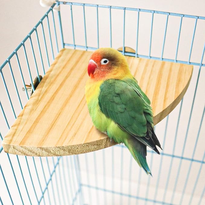 2 Pack Bird Perch Platform, Parrot Stand Sector Playground Wood Perch Stand Toy Cage Accessories Exercise Toy for Parakeet Conure Cockatiel Budgie Gerbil Rat Mouse Chinchilla Hamster