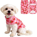 EXPAWLORER Soft Cat Sweater - Sweaters for Cats Only Warm Kitten Clothes, Fall and Winter Pet Coat Pullover Design, Fleece Sweatshirt Clothing Also for Puppy Small Dogs, Strawberry L