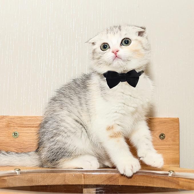 Sliverdew 2 Pcs Velvet Cat Collar with Bell and Bowtie, Adjustable Breakaway Cat Collars Kitten Small Puppy Safety Bow Tie Solid Wedding Basic Color Cat Bow Tie Collar