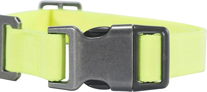 Carhartt Nylon Duck Dog Collar, Fully Adjustable Durable 2-Ply Cordura Nylon Canvas Collars for Dogs, Brite Lime, Large
