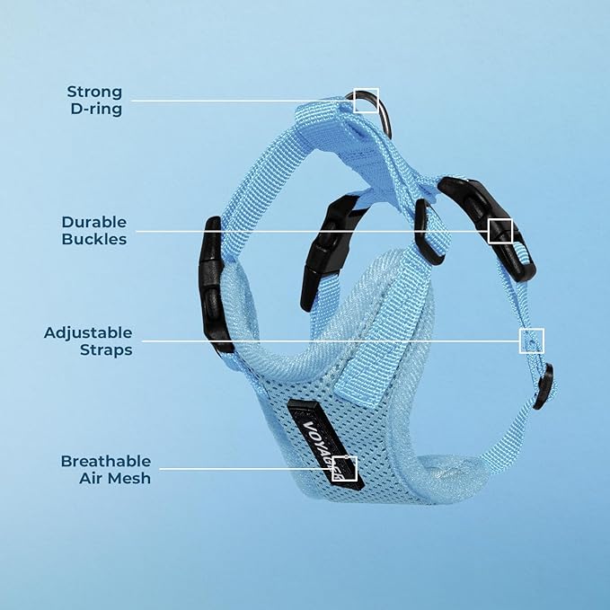 Voyager Step-in Pet Harness - All Weather Mesh, Adjustable Step in Harness for Cats and Dogs by Best Pet Supplies - Baby Blue, M