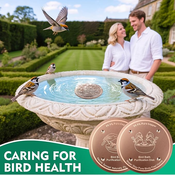 1 Pcs Copper Disc for Bird Bath | 99.99% Pure Copper Plate & Birdbath Disk | 0.6mm Thick Reinforced Design | Maintains Clean Water Naturally | Fits All Birdbath Bowls Year-Round (Bird Style 5)