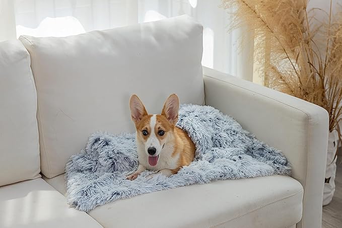 PJYuCien Dog Blankets for Small Dogs Washable - Fluffy Fuzzy Cat Blanket for Couch, Puppy Throw for Furniture with Polyester Fleece, Super Soft Plush for Pet Kitten Doggy, Grey, 24" x 32"