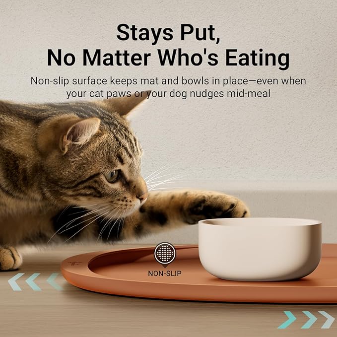 DownyPaws Cat Food Mats for Floors Waterproof, BPA Free Silicone Pet Feeding Mat, Non-Slip Pet Food Mat with High Raised Edge, Cat Placemat for Messy Drinkers, 18"×12.5", Coral