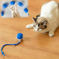 Interactive Cat Toys for Indoor Cats, Agility Move Cat Balls,Motion Activated Cat Balls, Cat Toys for Bored Indoor Cats (Blue)
