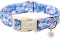 Floral Dog Collar for Medium Dogs - Cute Spring Dog Collars, Soft Lightweight Bee & Daisy Puppy Collar, Breathable Adjustable Male Female Blue Wildflowers Dogs Collars M