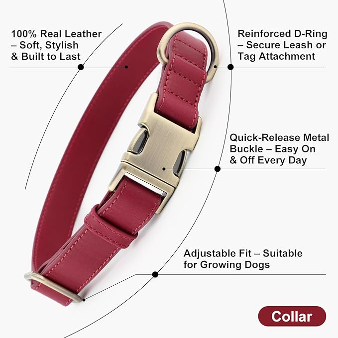 Plutus Pet Genuine Leather Dog Collar – Adjustable Pet Collar with Quick Release Metal Buckle, Soft Real Leather for Small Medium Large Dogs, Heavy Duty & Skin-Friendly (Burgundy, XS)