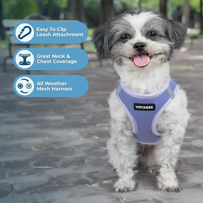 Best Pet Supplies Voyager Step-in Air Harness - All Weather Mesh, Reflective, No Pull Harness for Dogs, Cats - Secure with Hook & Loop Fastener, Buckle, Double D-Rings - Lavender, XS