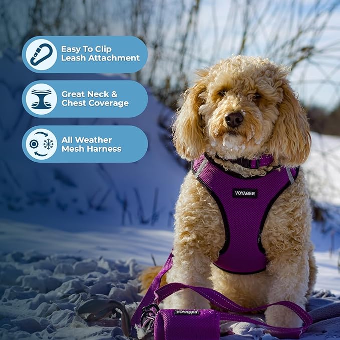 Best Pet Supplies Voyager Step-in Air All Weather Mesh Harness and Reflective Dog 5 ft Leash Combo with Neoprene Handle, for Small, Medium and Large Breed Puppies - Purple/Black Trim, XX-Small