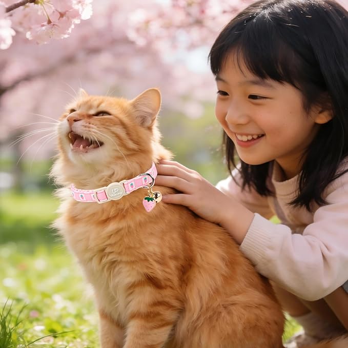 Cat Collar, Pack of 2 Summer Kitten Collars-Cute Lime and Strawberry Pendants-Breakaway Kitty Collars,Cat Collar with Bell, for Girl & Boy Cats
