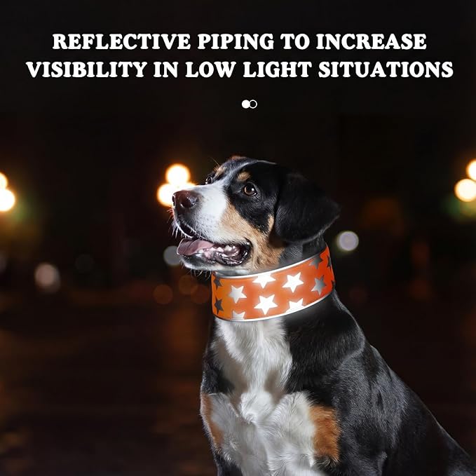 Paterr 2 Pcs Reflective Dog Collar High Visibility Adjustable Pet Collars with Quick Release Fastener Comfortable Dog Walking Accessories for Small Medium Large Pet, Orange, Fluorescent Green (Star)