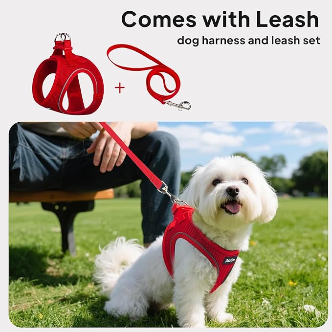 PetiFine Step in Small Dog Harness and Leash Set, Breathable All Weather Air Mesh Reflective Escape Proof, Step-in Vest Harnesses for Puppy(XS, Red)
