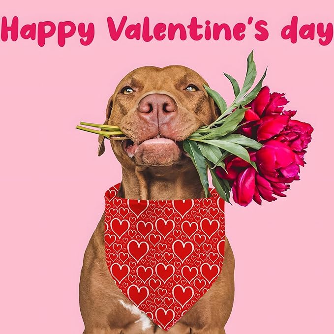 Valentines Dog Bandanas, Heart Red White Heart Dog Scarf, Mother's Day Dog Bandana for Medium Large Dogs Pets