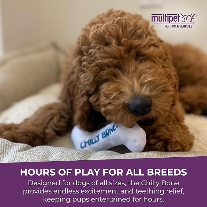 Multipet Chilly Bone Dog Toy - Vanilla-Scented Canvas Freezable Teething Toys - Frozen Toy for Chewing & Playing - Freezable Dog Toys (1 Count, 7”)