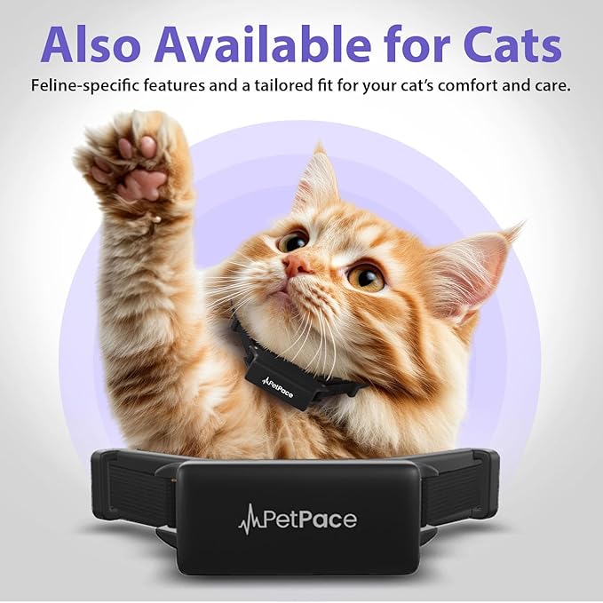 NEW Dog Health Monitor V3.0 by PetPace – AI Smart Collar with 24/7 Vital Signs, Pain & GPS Tracking, Telehealth AskaVet & Share With Your Vet, Smartwatch Sync – Subscription Required (Large)