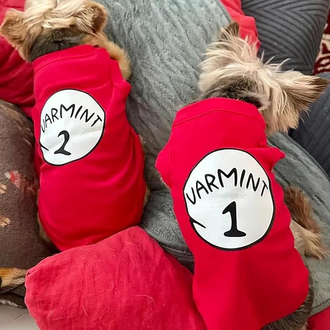 Custom Text & Logo Dog Hoodie, Embroidery Pet Sweaters for Small Dogs, Customized Pet Clothes Warm Winter Outfit for Dogs, Bright Puppy Sweatshirt, Pets Birthday Outfit, Dog Lovers Gifts