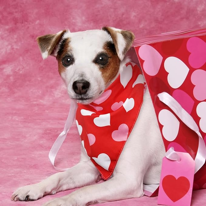 Whaline 6 Pack Valentine's Day Pet Bandanas Heart Pet Neckerchief Shamrock Clover Triangle Dog Bibs Easter Spring Bunny Dog Collar Scarf St. Patrick's Day for Pet Costume Accessories