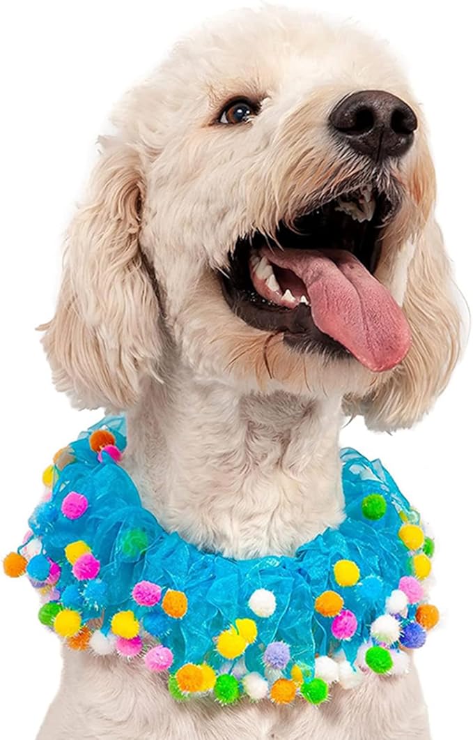 Lionheart glory Birthday Dog Collars, Pink Cute Colorful Dog Collar with a Hat Elastic Fancy Holiday Accessory for Dogs Pet Costume for Birthday Party Girl