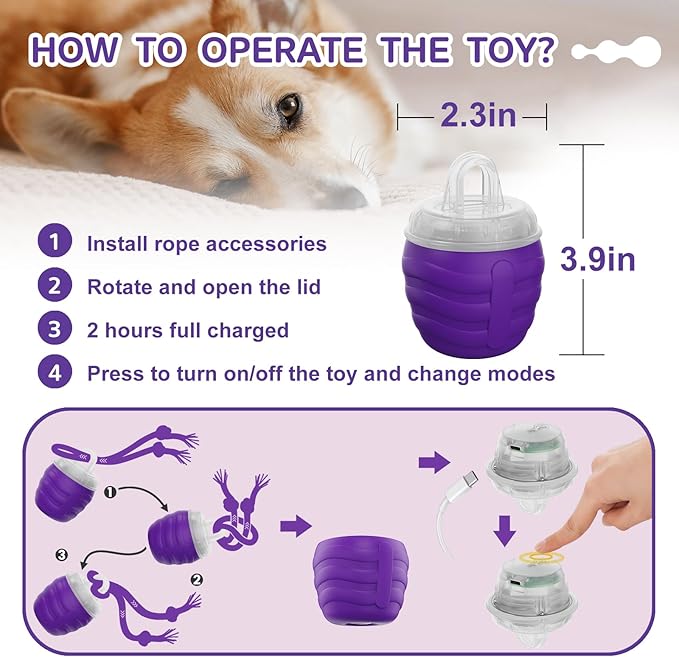 Interactive Dog Toy, [Newly Upgraded] Motion Activated Rolling Squeaky Ball for Medium/Large Dogs, Automatic Moving Dogs Ball for Boredom, USB Rechargeable(Purple)